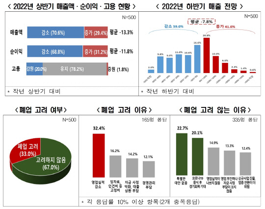 '2022년 상반기 실적 및 하반기 전망 조사' 결과. <전국경제인연합회 제공>